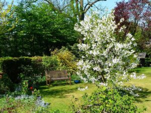 Taras na działce – od czego zacząć budowę krok po kroku